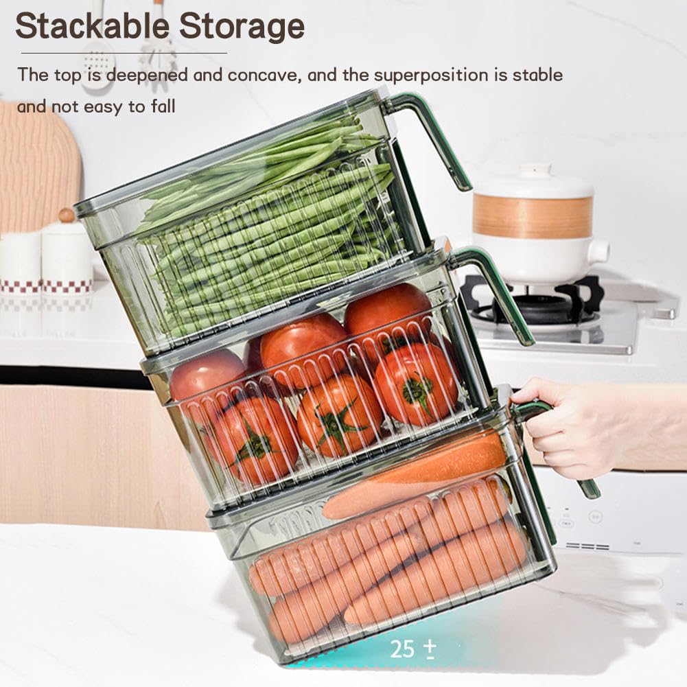 Contenedores de almacenamiento de refrigerador de plástico PET
