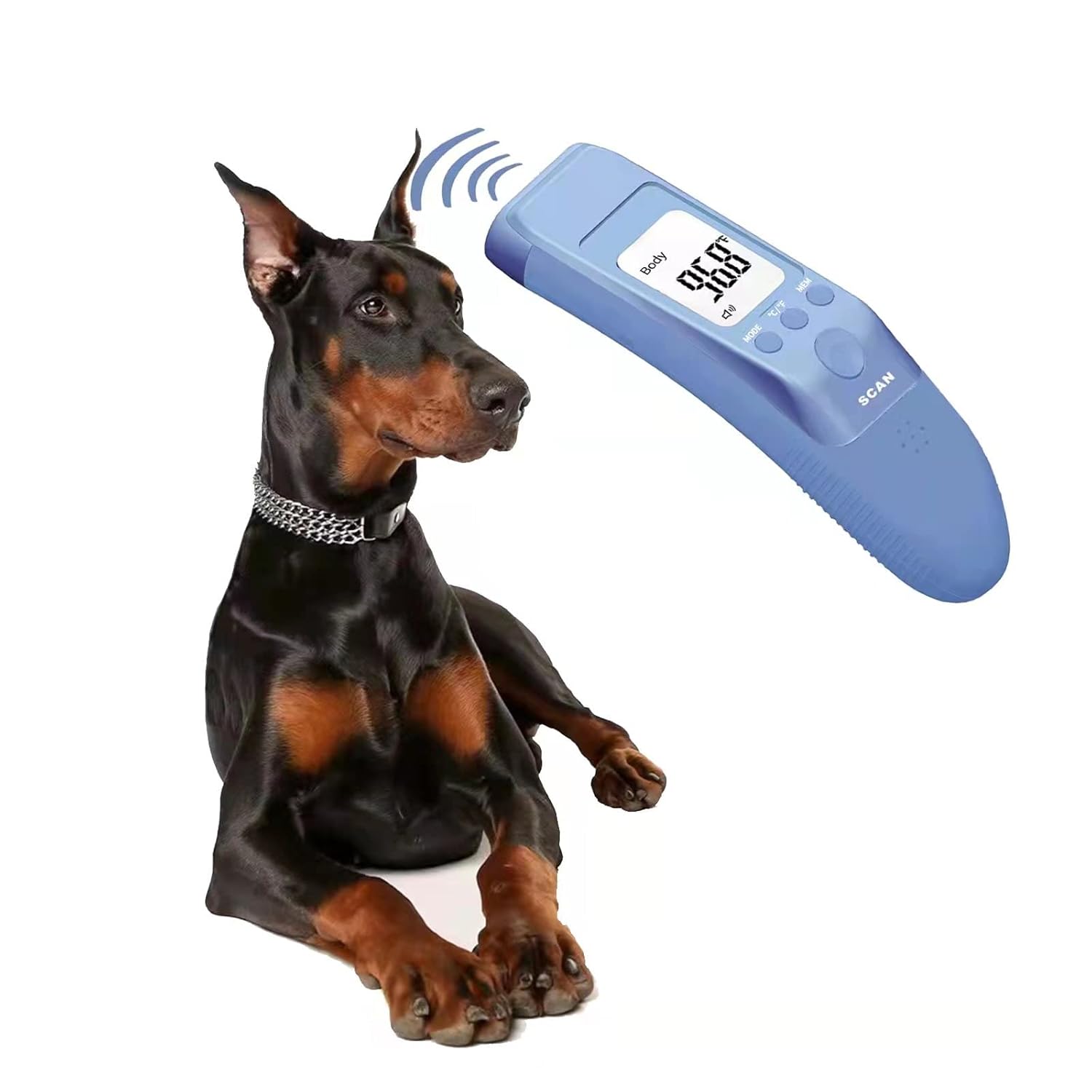 How To Take Dog Temperature With Human Thermometer