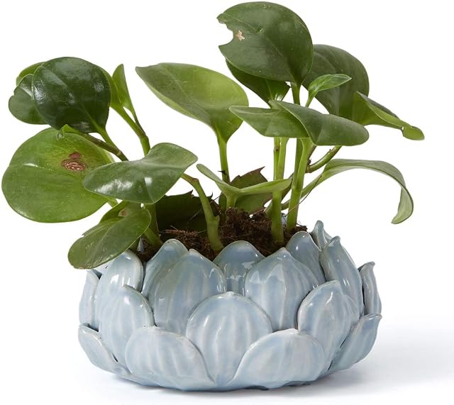 SEINHIJO Ceramic Pot Planter Flower Pot Indoor Cacuts Succulent Decor Gifts Blue 15cm