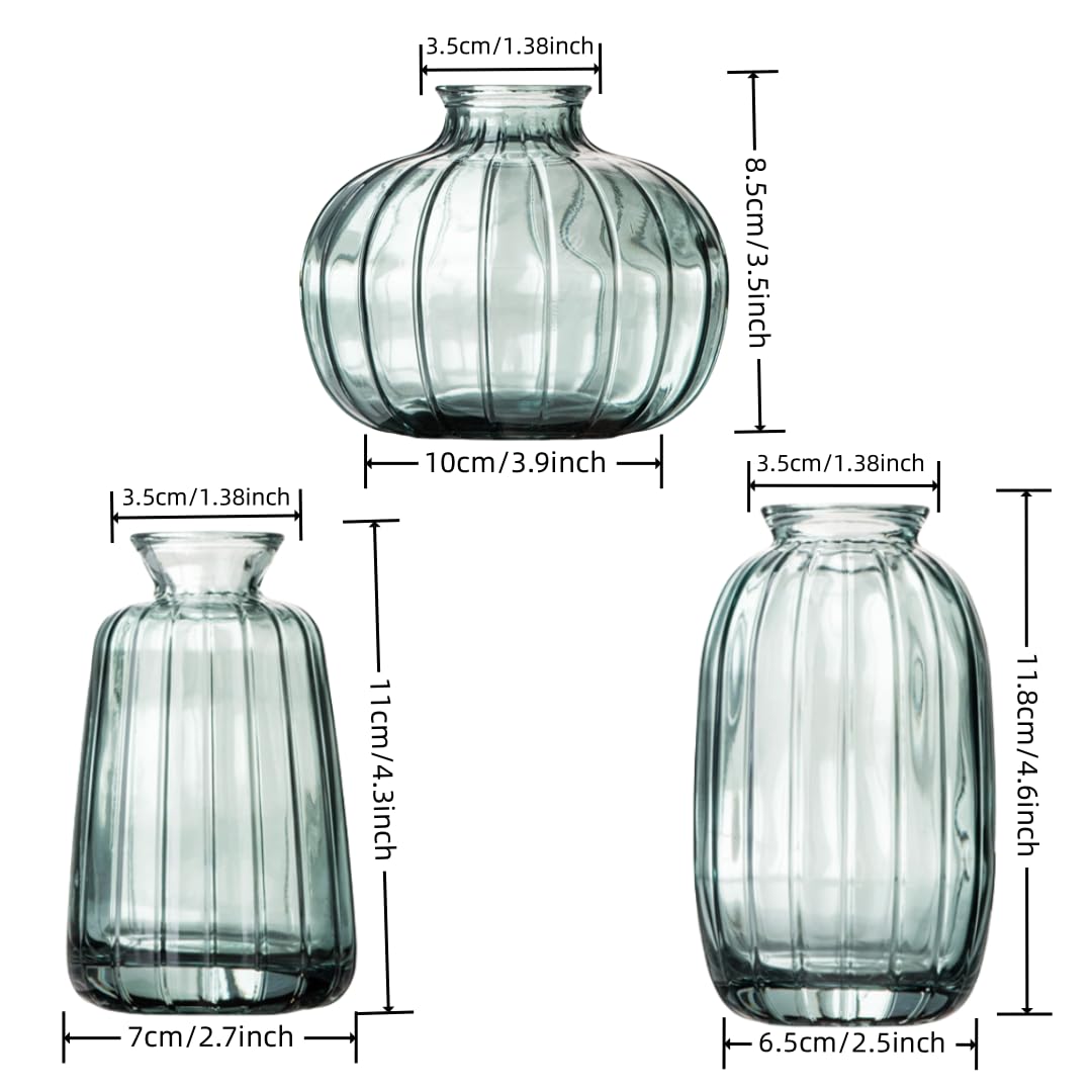 MEETOZ Glass Bud Vase Set of 3- Small Vases for Flowers Home Table Flower Decor, for Office or Wedding Events - Image 2
