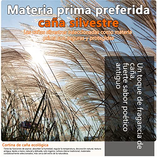 Consejos y reviews para comprar Estores cana disponible en línea para comprar. 41 Imagen adicional
