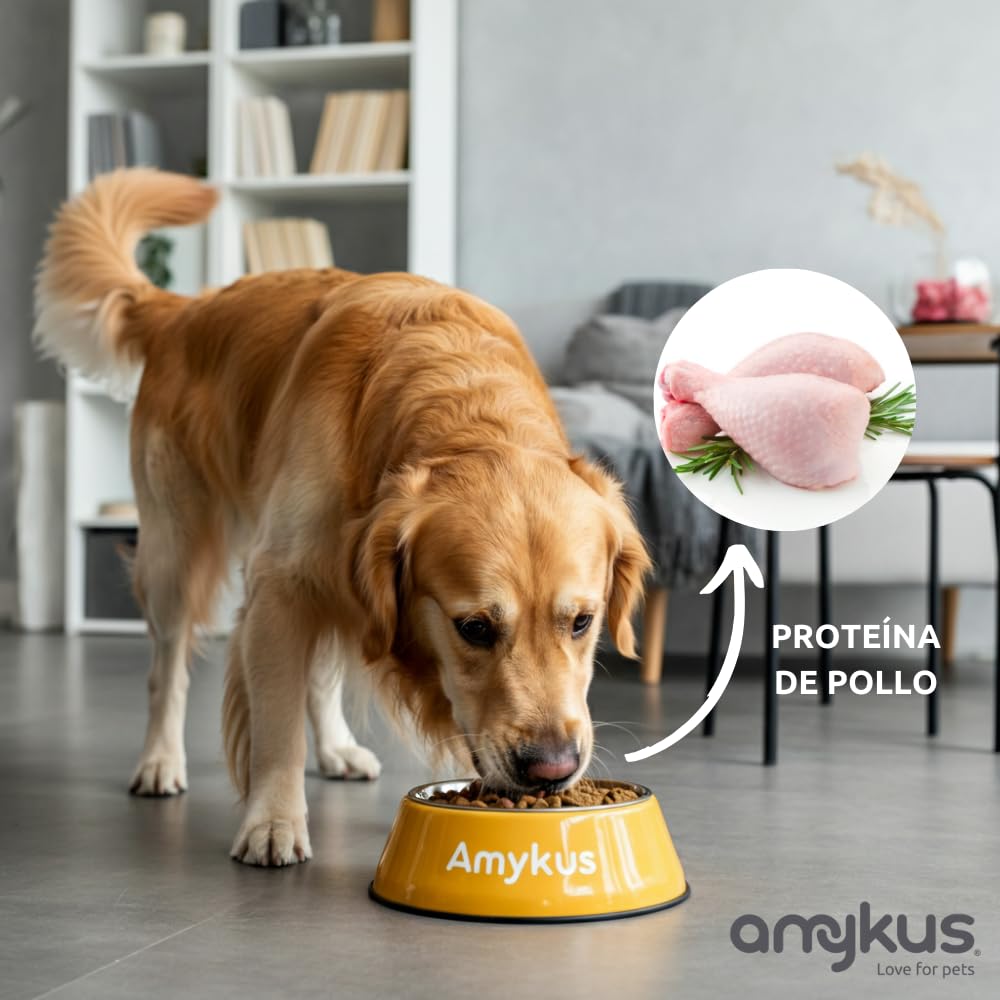 Original Light & Care 12,5 kg | Pienso Completo para Perros Senior y con Sobrepeso | Bajo en Calorías | Pollo y Pavo