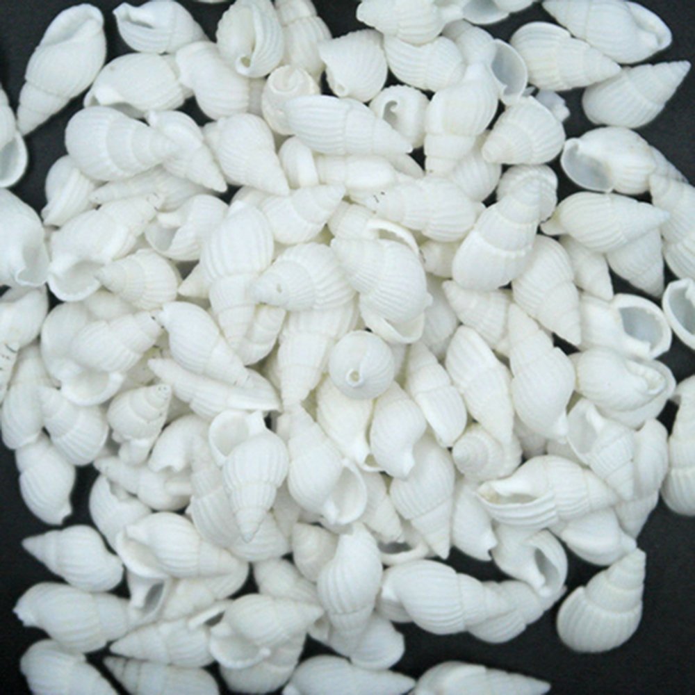 Gemini_mall White Sea Shells, 100pcs Small White Natural Seashells Craft Wedding Garden Aquarium Decoration
