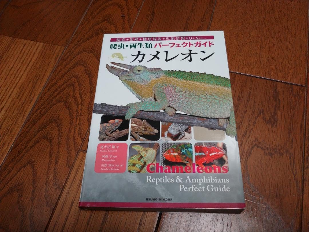 モーリス MD-512TS ソフトケース 新品弦 DVD付き教則本 モーリス MD-512TS ソフトケース 新品弦 DVD付き教則本 モーリス