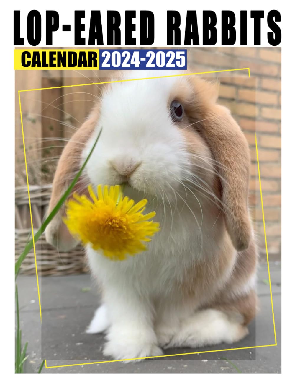 Amazon.com: Lop-Eared Rabbits Calendar 2024 - 2025: A 24-Month Calendar ...