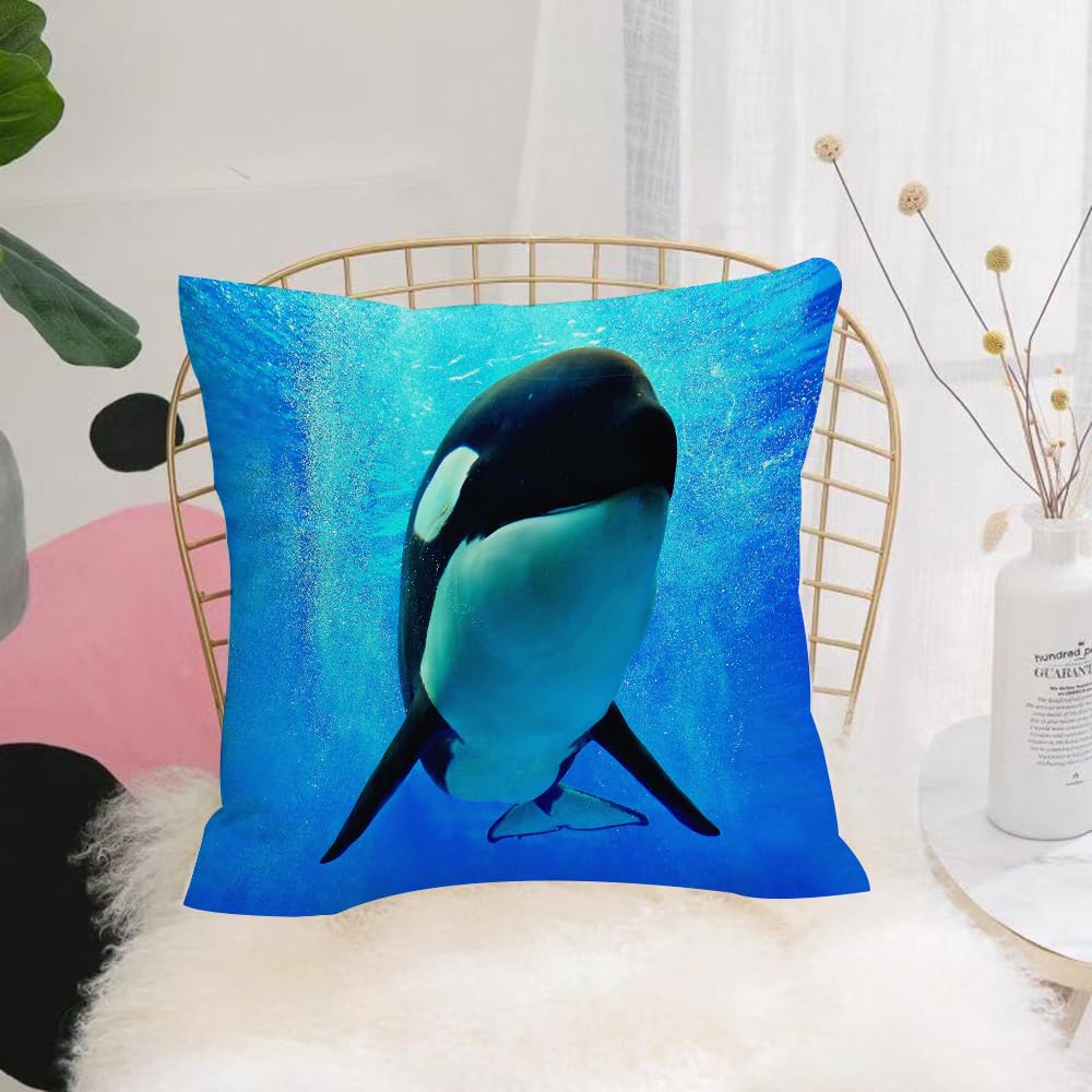 HYOSXW Cushion Cover,Throw Pillow Case Home Decorative for Living Room Bedroom Sofa Chair 16X16 Inch,Killer whale swimming underwater with bubbles,Pillowcase 40X40cm