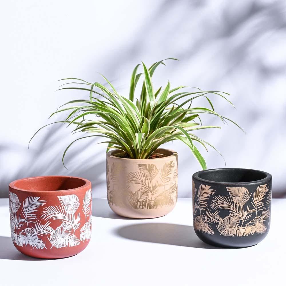 See full amazon price history chart for UGAOO Sienna Terracotta Indoor Pot for Plant - Aesthetic, Durable, Premium Planter for Home Décor (Set of 3) UGAOO Sienna Terracotta Indoor Pot for Plant - Aesthetic, Durable, Premium Planter for Home Décor (Set of 3) (B0CXDZ8RBS) Amazon Price History, Amazon Price Tracker