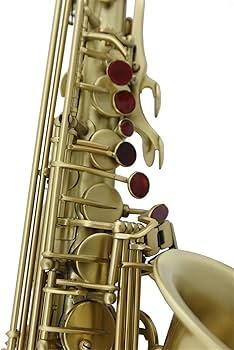 Amazon.co.jp: サックス楽器 高級イエローゴールドラッカーカラー