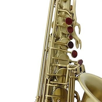 Amazon.co.jp: サックス楽器 高級イエローゴールドラッカー
