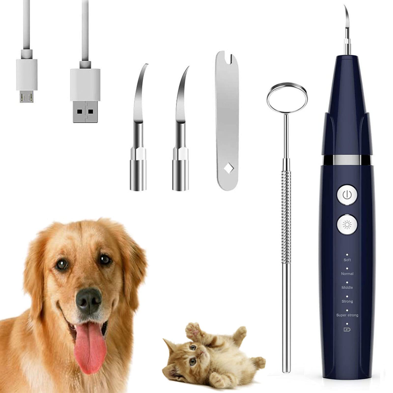 Why Does My Dogs Head Vibrate