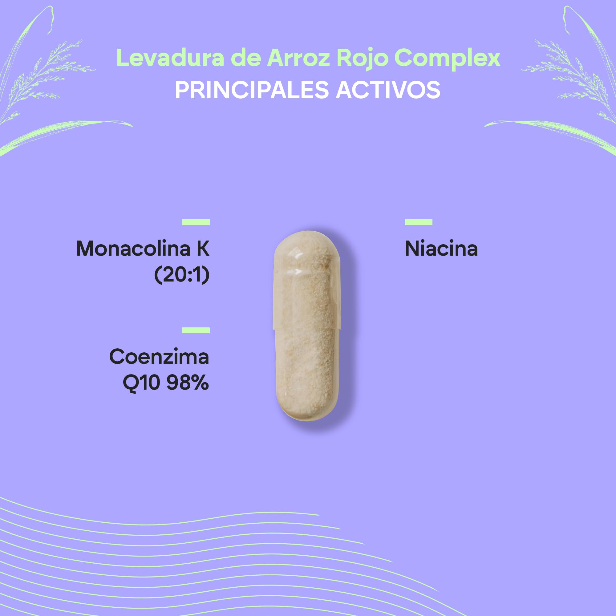 Levadura de Arroz Rojo 2,9mg Monacolina K + Q10 + Vit C E - Levadura de Arroz Rojo Cápsulas - Red Yeast Rice Complex 90 Cápsulas Veganas Nutralie