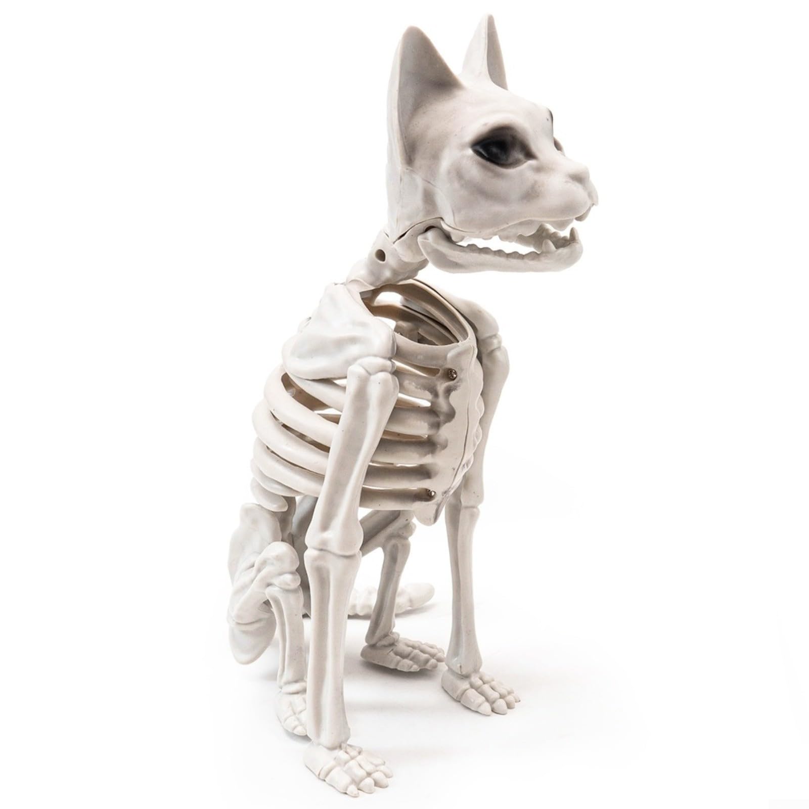 Decoración de gato esqueleto de Halloween de plástico