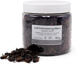 Terra Discount Futter Insekten für Reptilien & Amphibien, Nager, Igel, Schildkröten und weitere Heimtiere (185g, Mittelmeergrille Adult) product image