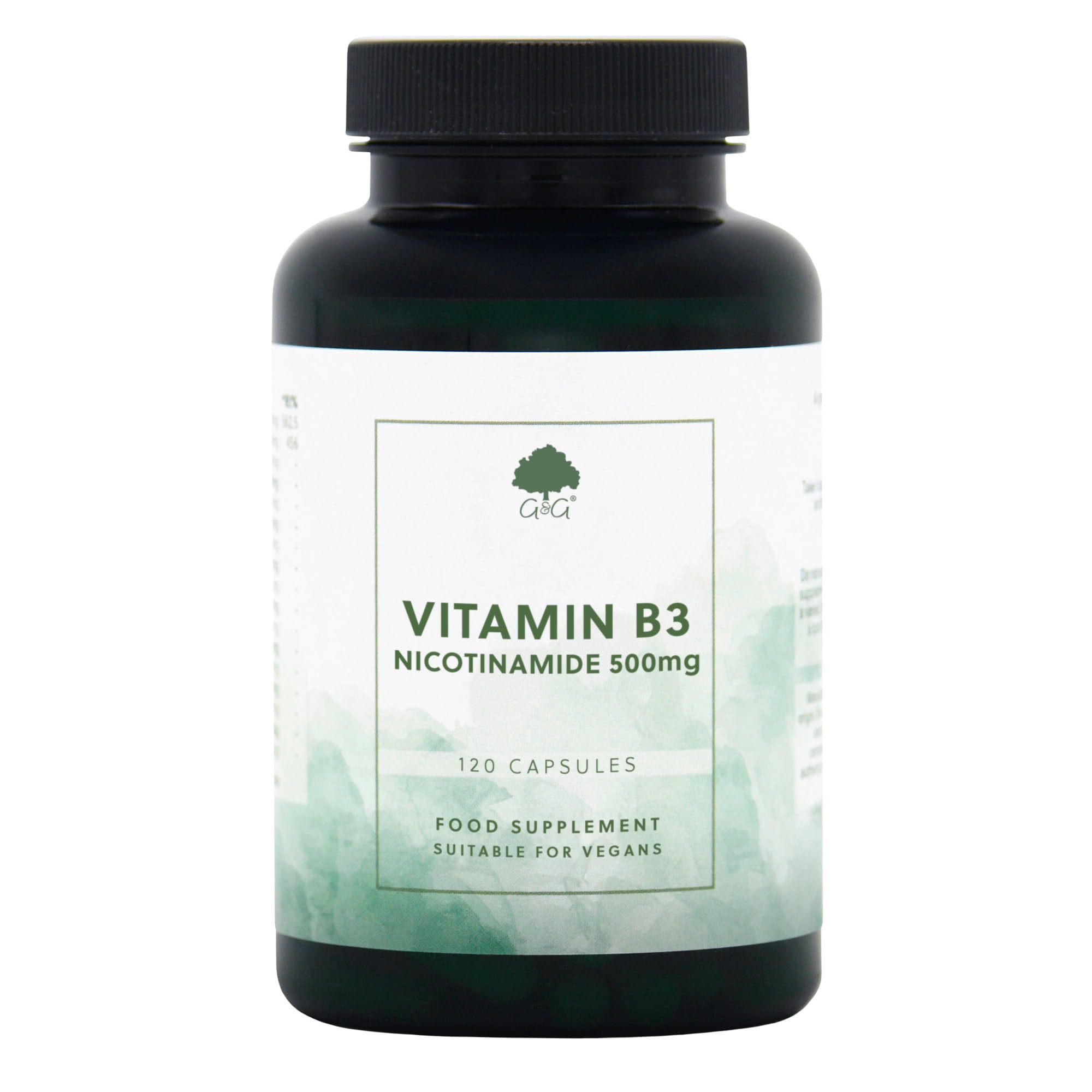 Vitamin B3 (Nicotinamide) 500mg - High Strength, Non-Flush, 120 Vegan Capsules - G&G Vitamins - UK Made