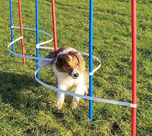 Wuzzmann Agility - Slalom - AUSBILDUNGSSET MIT 4 SLALOMBÖGEN/TRAININGSBÖGEN + 6 SLALOMSTANGEN ROT/BLAU