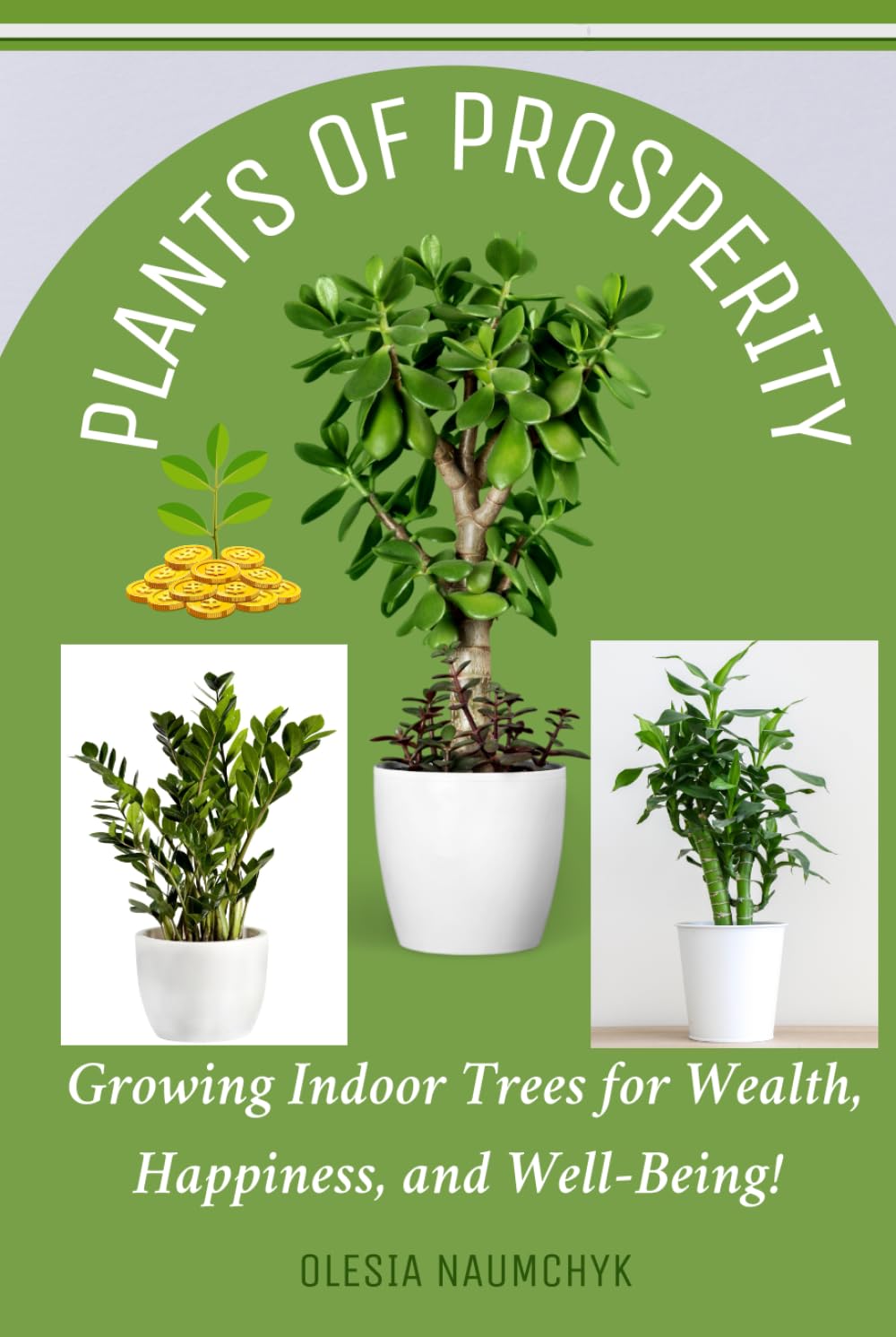 Plants of Prosperity: Growing Indoor Trees for Wealth, Happiness, and Well-Being!