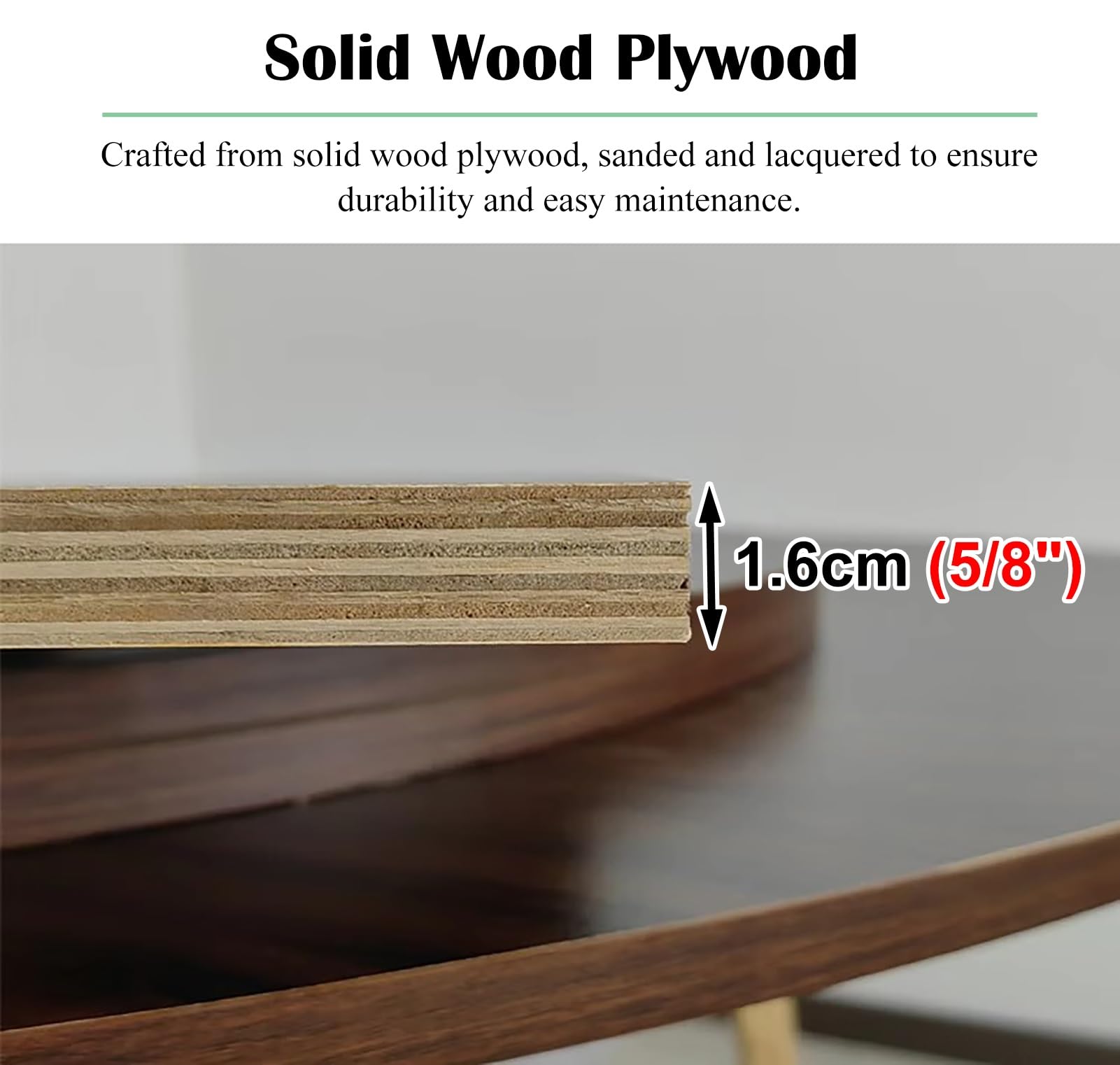 Amazon｜テーブル 天板 丸 大きな円形の折りたたみテーブルトップのみ