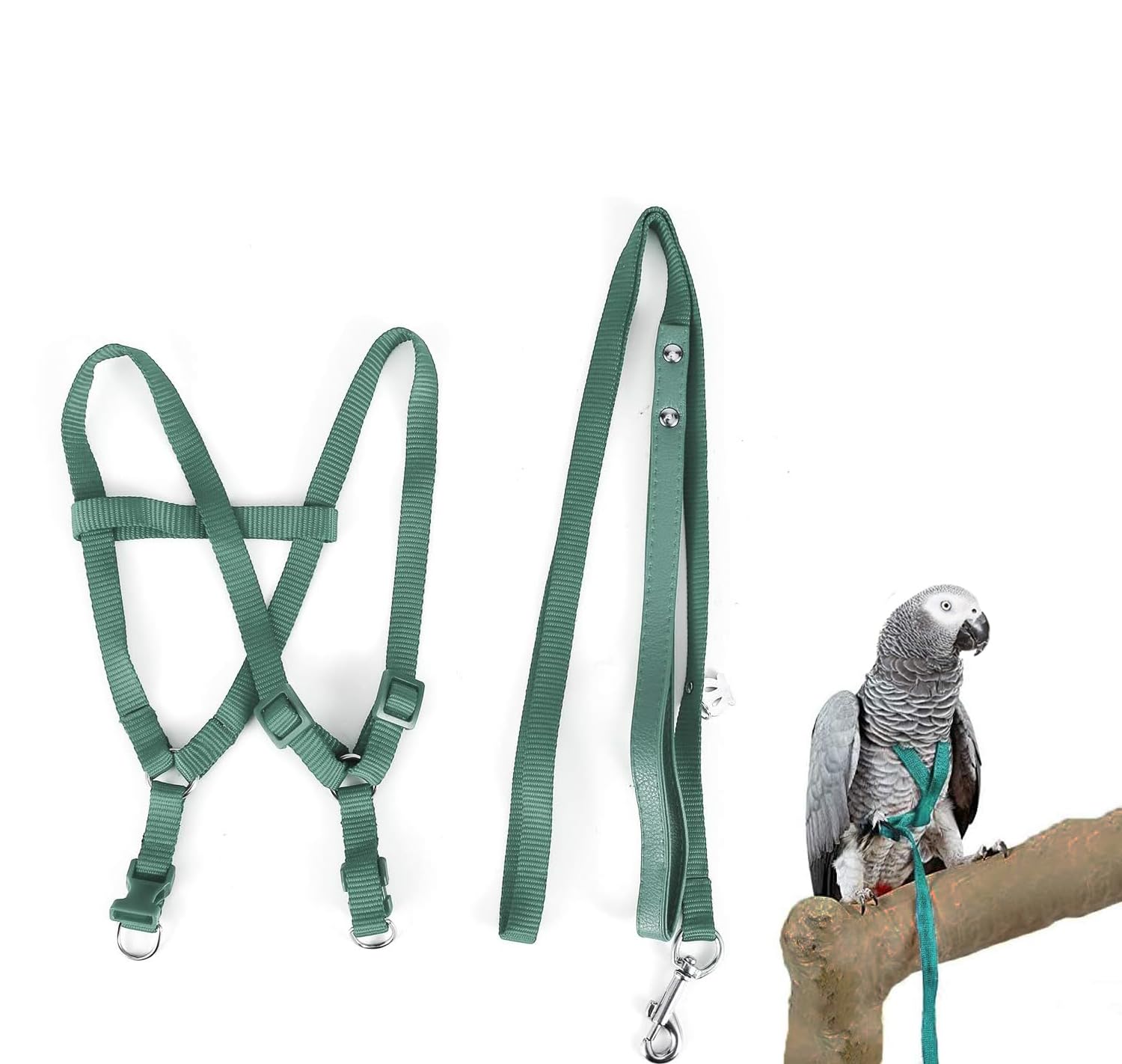 Guinzaglio per Uccelli Regolabile e Guinzaglio Per Uccelli Accessori Essenziali Per Esterni Volante Adatto Per Ara Scarlatto Sole Conure Pappagallo Cockatiel