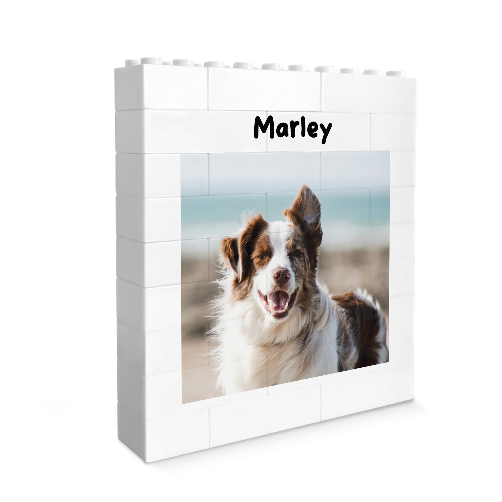 Red Ocean Personalised Photo Bricks, Pet Photo Frame, Gift For Pet Owner, Dog Gifts, Building Bricks, Gift, Dog Plaque, Sign, Plaque, Memorial