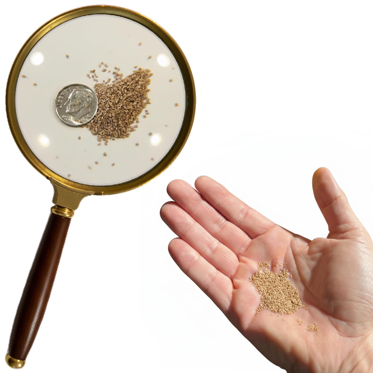 BugShot - Non-Salt Bug Ammo – Made in USA - No Jamming, Instant Refill, No Residue - Compatible with Salt Guns.