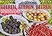 Produktbild Beeren, Beeren, Beeren (Tischkalender 2022 DIN A5 quer) [Calendar] Wagner, Hanna [Calendar] Wagner, Hanna