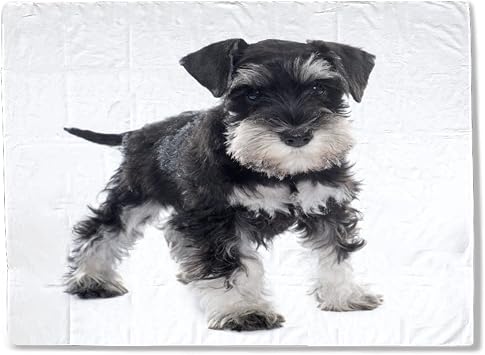 Amazon Com Manta De Bebe Negro Para Cachorros En Miniatura Schnauzer Delante De Perro Mascota Animal Lindo Colorido Ligero Franela Mantas 40x30 In Para Recien Nacidos Bebe Ropa De Cama Mantas Bebe Swaddle Amazon Com Manta De Bebe Negro Para Cachorros En Miniatura Schnauzer Delante De Perro Mascota Animal Lindo Colorido Ligero Franela Mantas 40x30 In Para Recien Nacidos Bebe Ropa De Cama Mantas Bebe Swaddle