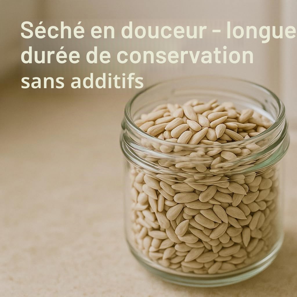 GiDeli Graines de Tournesol Décortiquées 20 kg en Sac - Oiseaux du Jardin