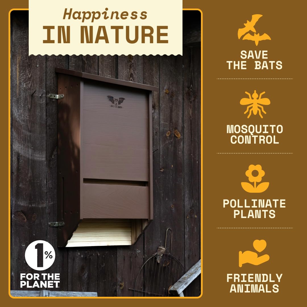 https://m.media-amazon.com/images/I/61Oti9XjVhL.jpg