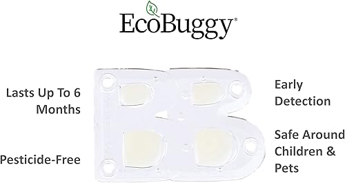 Miniatura 3 de EcoBuggy - Trampa de pegamento para insectos de cama, trampas de pegamento para el hogar y viajes detectan insectos antes de la infestación, paquete