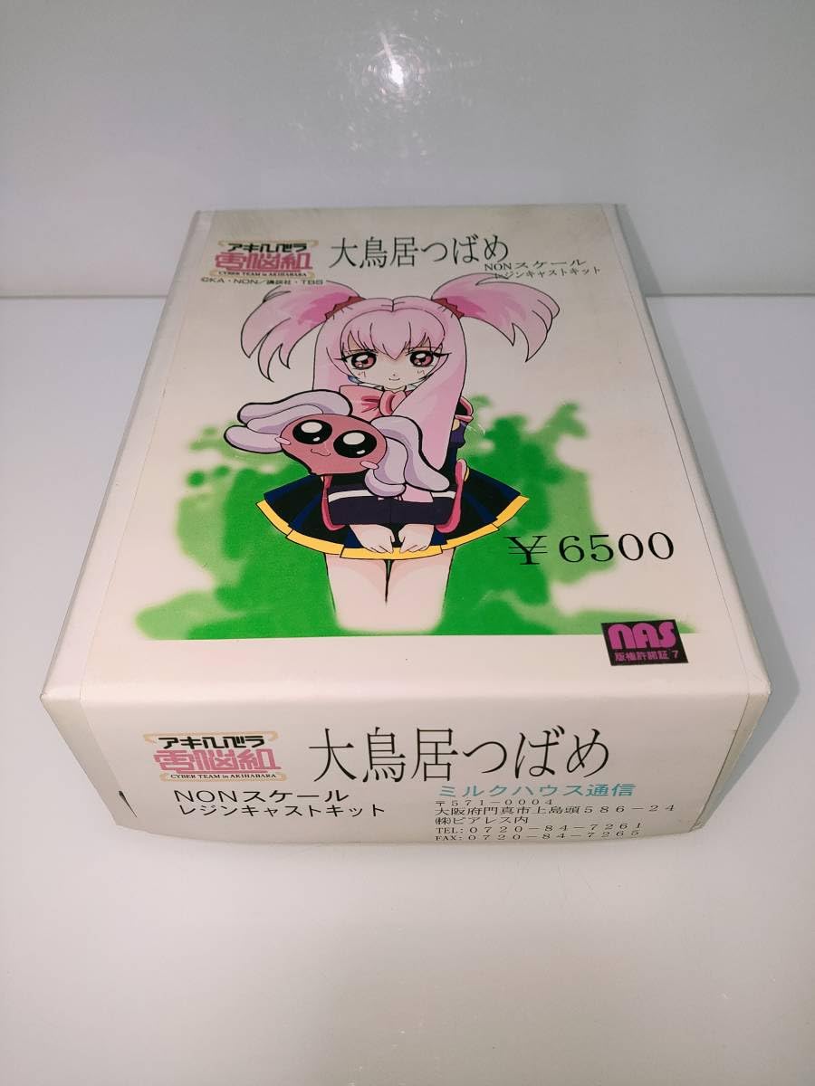 アキハバラ電脳組　2011年の夏休み　ガレージキット　5体セット Amazon.co.jp: ミルクハウス通信 アキハバラ電脳組 大鳥居つばめ
