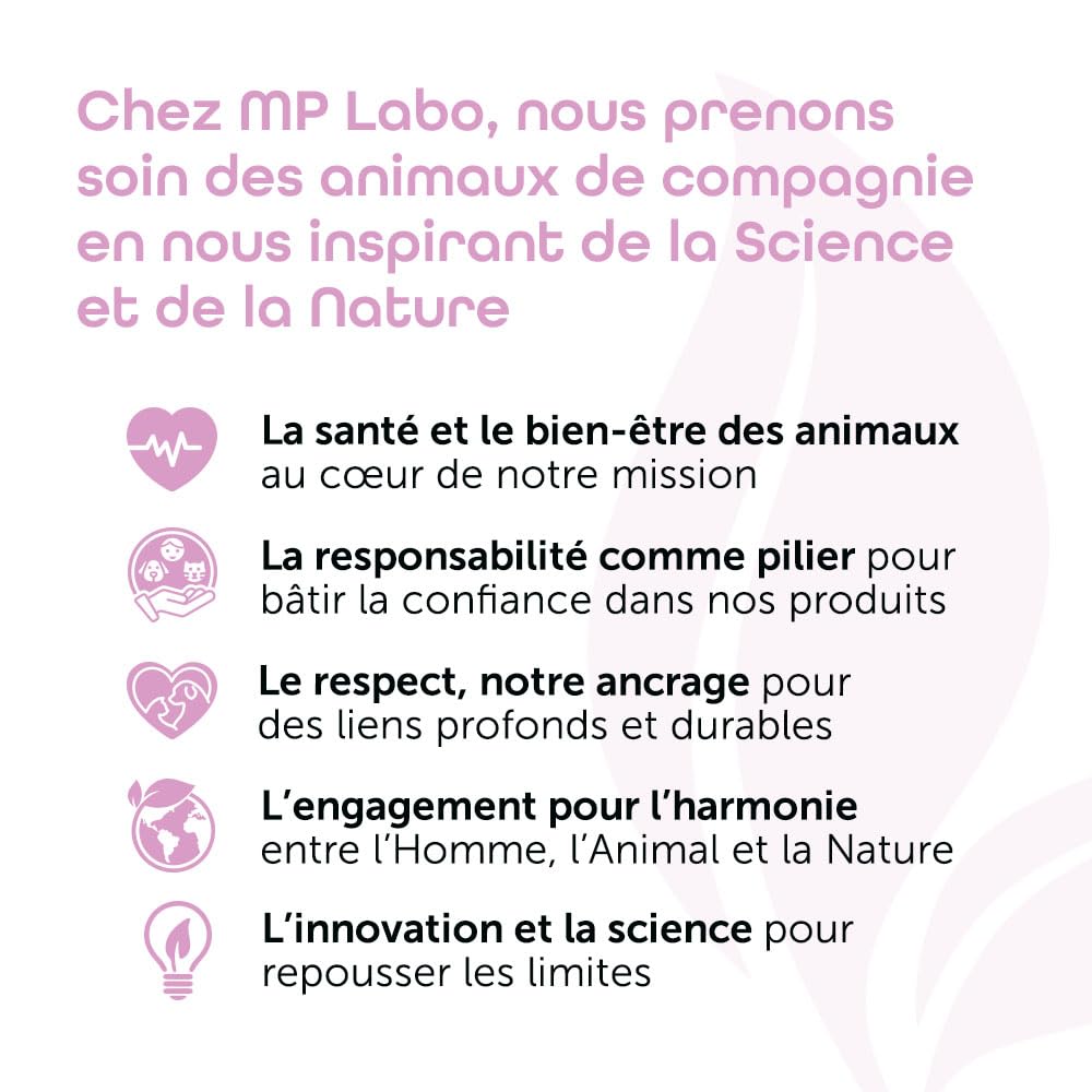 MP Labo Dermidine - Spray pour l'Hygiène Cutanée pour Chien et Chat à Base de Calendula et de Centella Asiatica pour Un Effet Calmant, Emollient et Hydratant (125 ML)