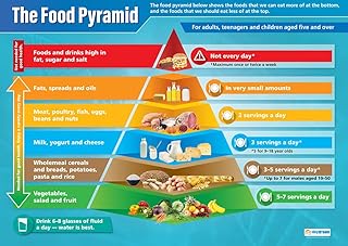 Food Pyramid | Science Posters | Laminated Gloss Paper Measuring 850mm x 594mm (A1) | Science Charts for The Classroom | Education Charts by Daydream Education