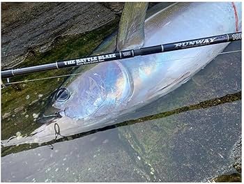 Amazon | ゼスタ(Xesta) ランウェイ ロックショア 10H ザ バトル