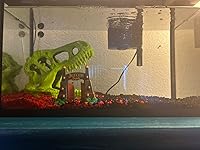 Review Image by Alex carver Alex carver