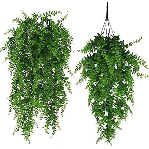 Fycooler Plantes Artificielles Fougère et Lierre Cover