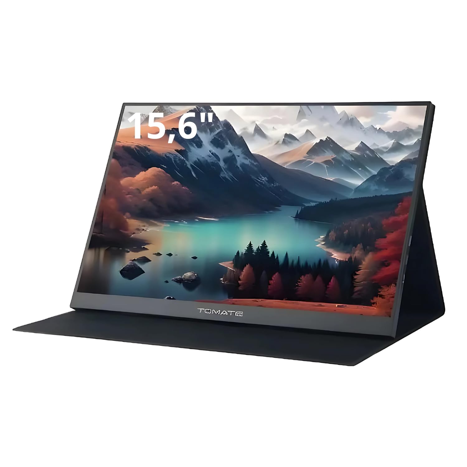 Monitor Portátil 15,6