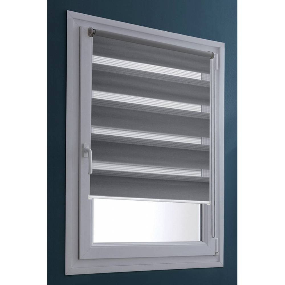 MADECOSTORE Double Store Door Enrouleur Jour Nuit Grey 65 x 100 cm