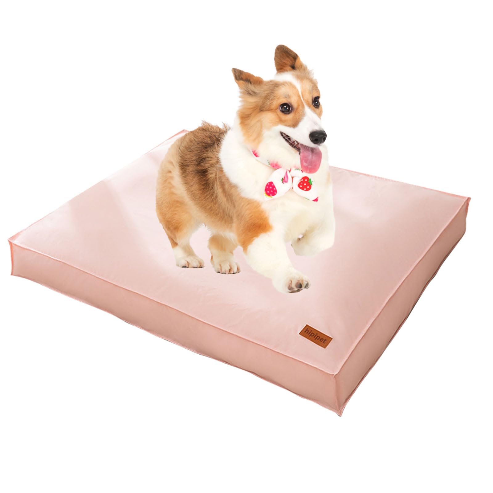 PETCUTE Cama para Perros Pequeños Medianos,Cama Perro Lavable con Funda Extraíble y Lavable,Cama Ortopedica para Perros Impermeable,Antideslizante,Súper Suave Cojín para Perros