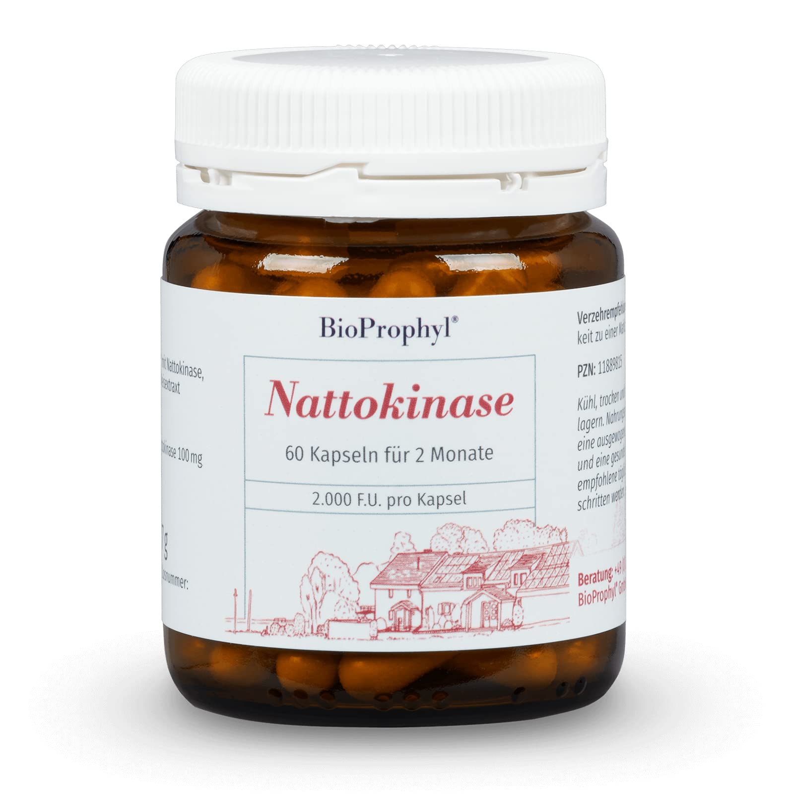 Nattokinase - 2.000 FU - 100 mg Nattokinase - für 2 Monate - 60 vegetarische Kapseln