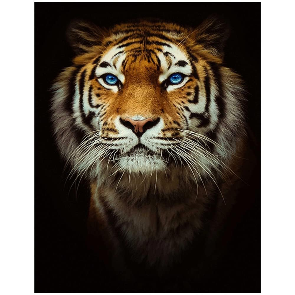 Square diamond painting diamanti e tigre grande 40x50cm puzzle