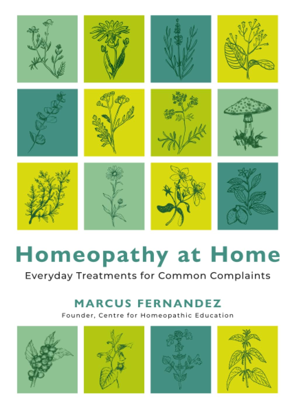 Homeopathy at Home by Marcus Fernandez PAPERBACK 9781837823185