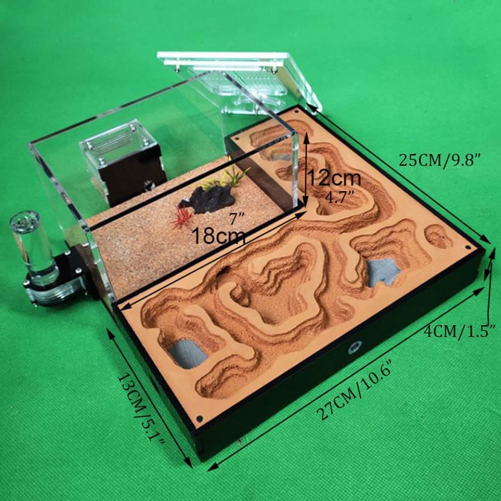 Large Ant Farm Learn Ant Behavior Ecological Plaster Ant Castle Acrylic Maze Ant Nest Farm Great Office Decor