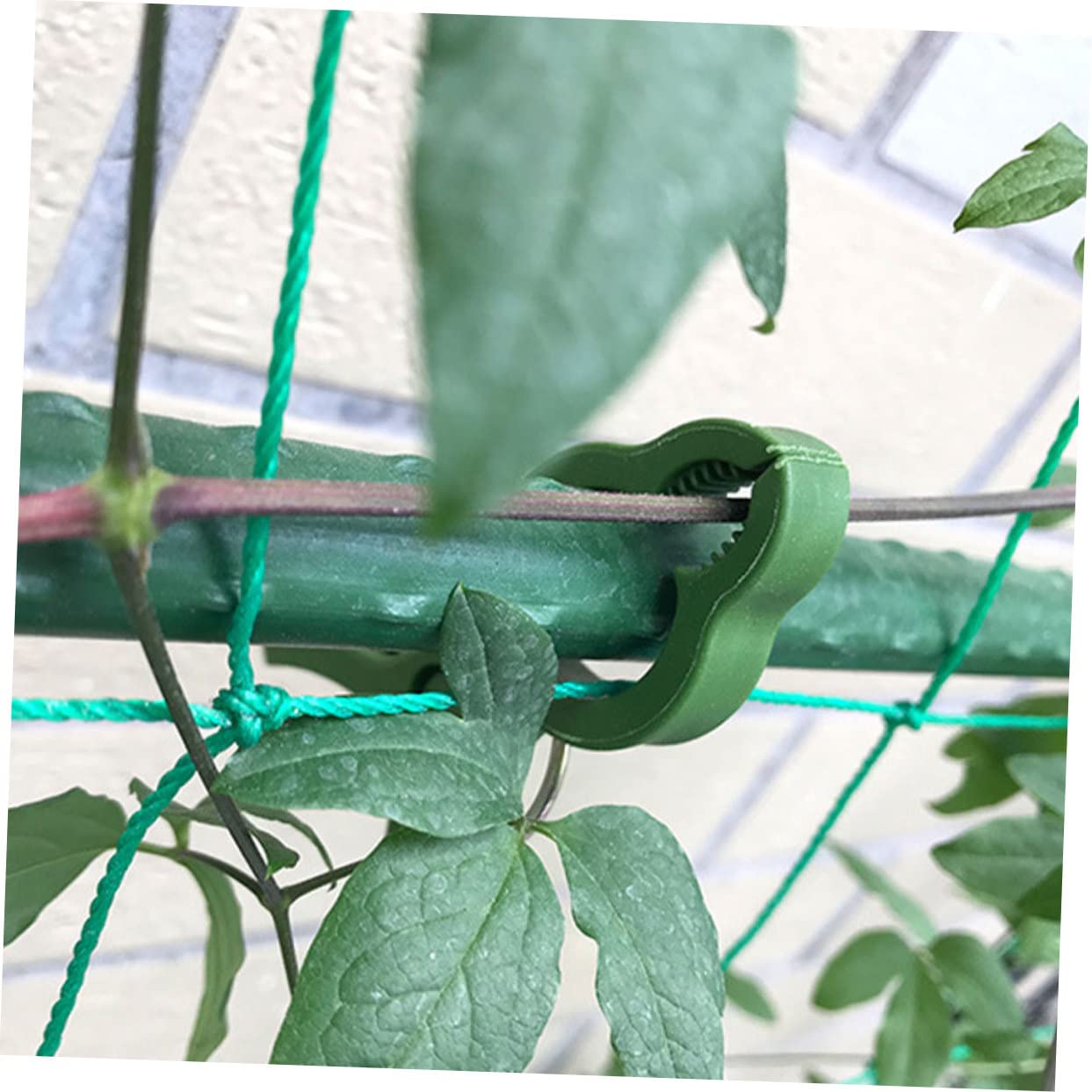 Toddmomy 50stücke Pflanzenclips Für Garten Und Orchideen Wiederverwendbare Clips Aus Robustem Zur Pflanzenstütze Für Rankpflanzen Und Topfpflanzen Grün