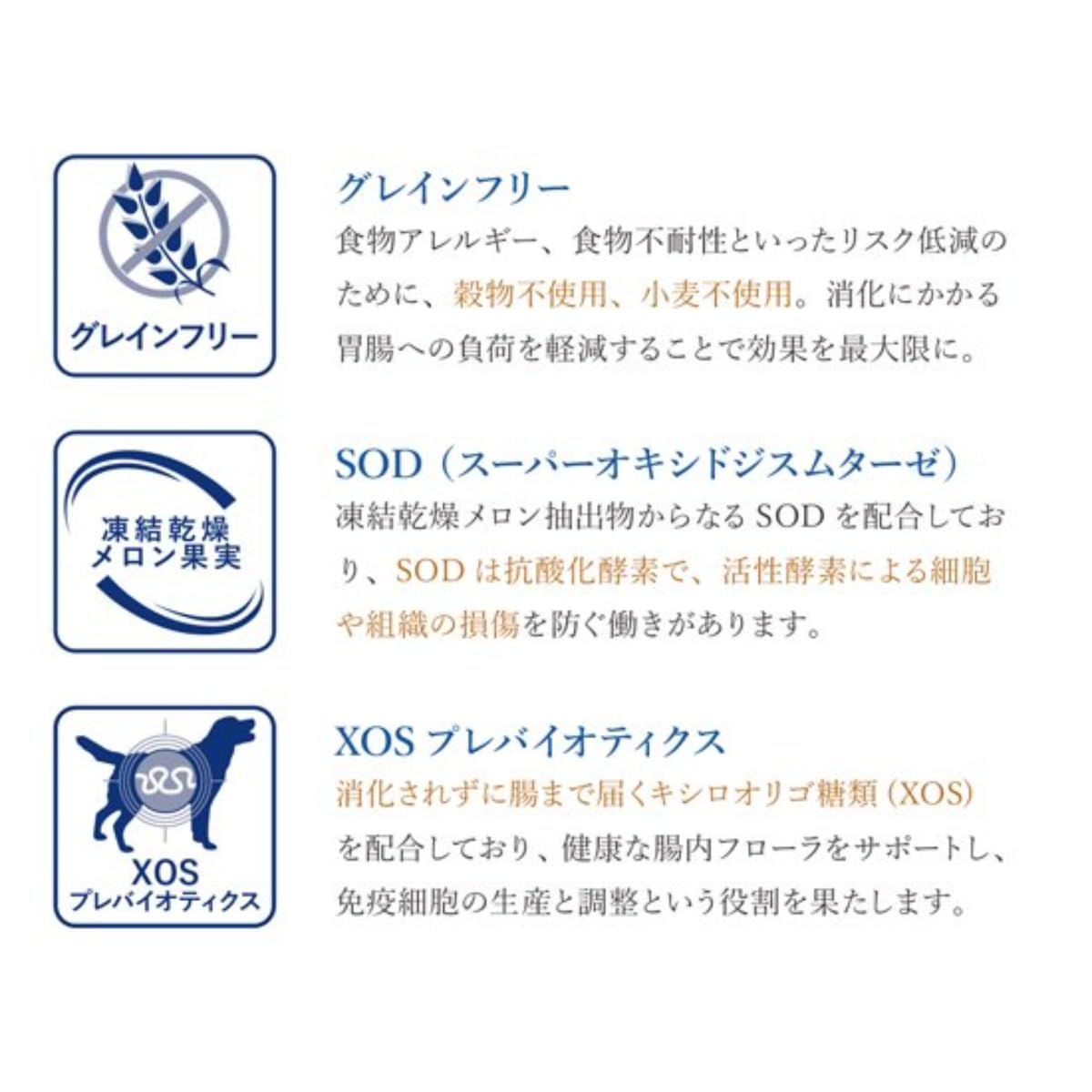 「Goddess」Monge VetSolution 療法食5セット Amazon | 【猫用 療法食】VetSolution ベッツソリューション