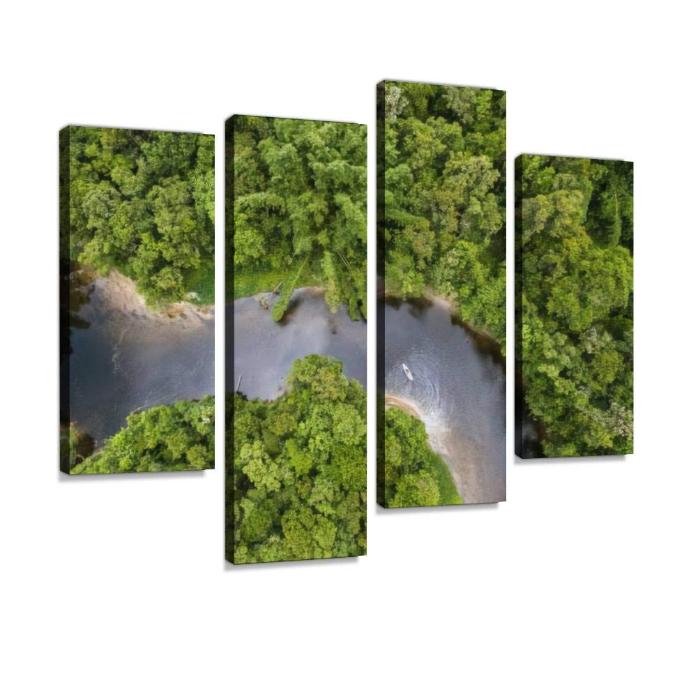 Aerial View of Rainforest in Brazil Canvas Print Artwork Wall Art Pictures Framed Digital Print Abstract Painting Room Home Office Decor Ready to Hang 4 Panel