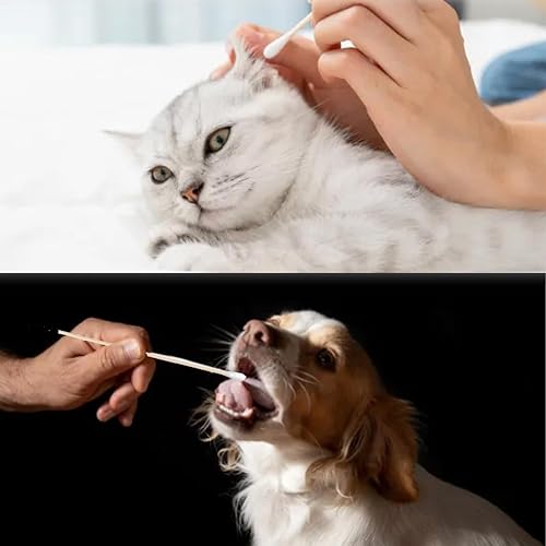 Miniatura 5 de 500 hisopos de algodón para el cuidado personal de la belleza, 6 pulgadas de largo con punta de algodón  aplicador de palillos con mango de madera,