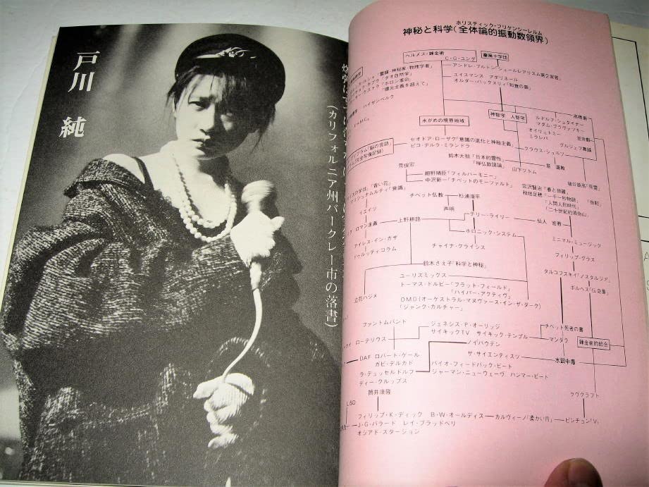 ◆古本◆REV 季刊レヴ・創刊号◇神秘と科学・新表現主義音楽◇表紙：羽 ◇古本◇REV 季刊レヴ・創刊号◆神秘と科学・新表現主義音楽◆表紙：羽良多平吉 その他