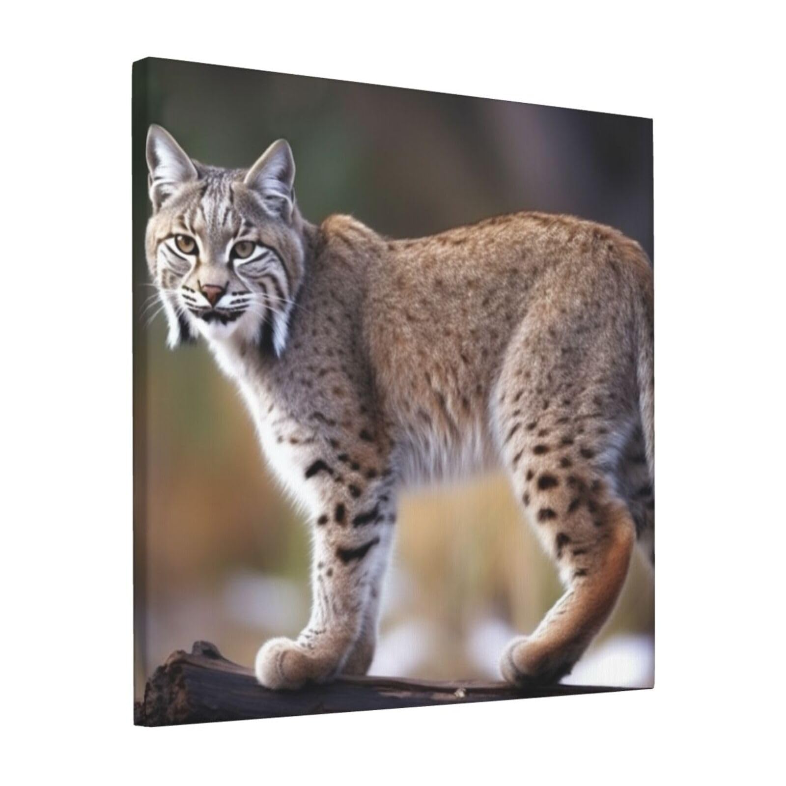 KLOPH Wild bobcat Canvas Wall Art for Living Room 12"x12" Modern Artwork Painting for Bathroom Hanging Canvas Prints Aesthetic Wallart for Bedroom Kitchen Office Wall Decor