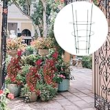 Zoom IMG-1 gabbia per piante gabbie alte Zoom IMG-1 gabbia per piante gabbie alte