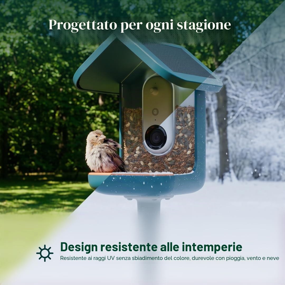 Bird Buddy - Mangiatoia Intelligente per Uccelli Blu con Pannello Solare 2.0